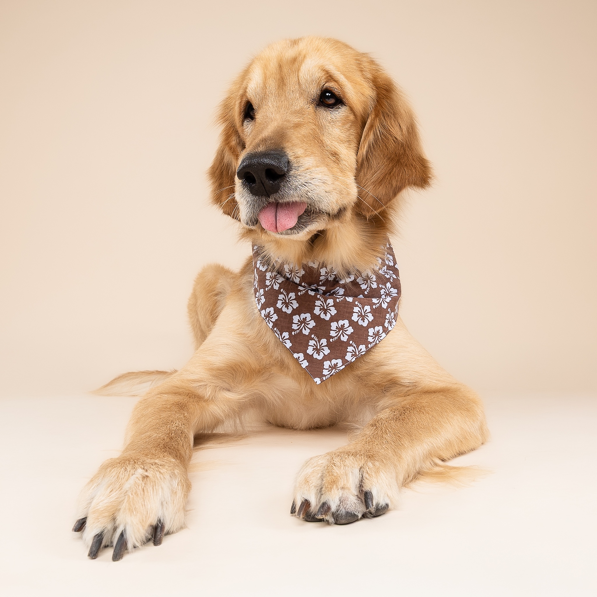 Hibiscus Dog Bandana