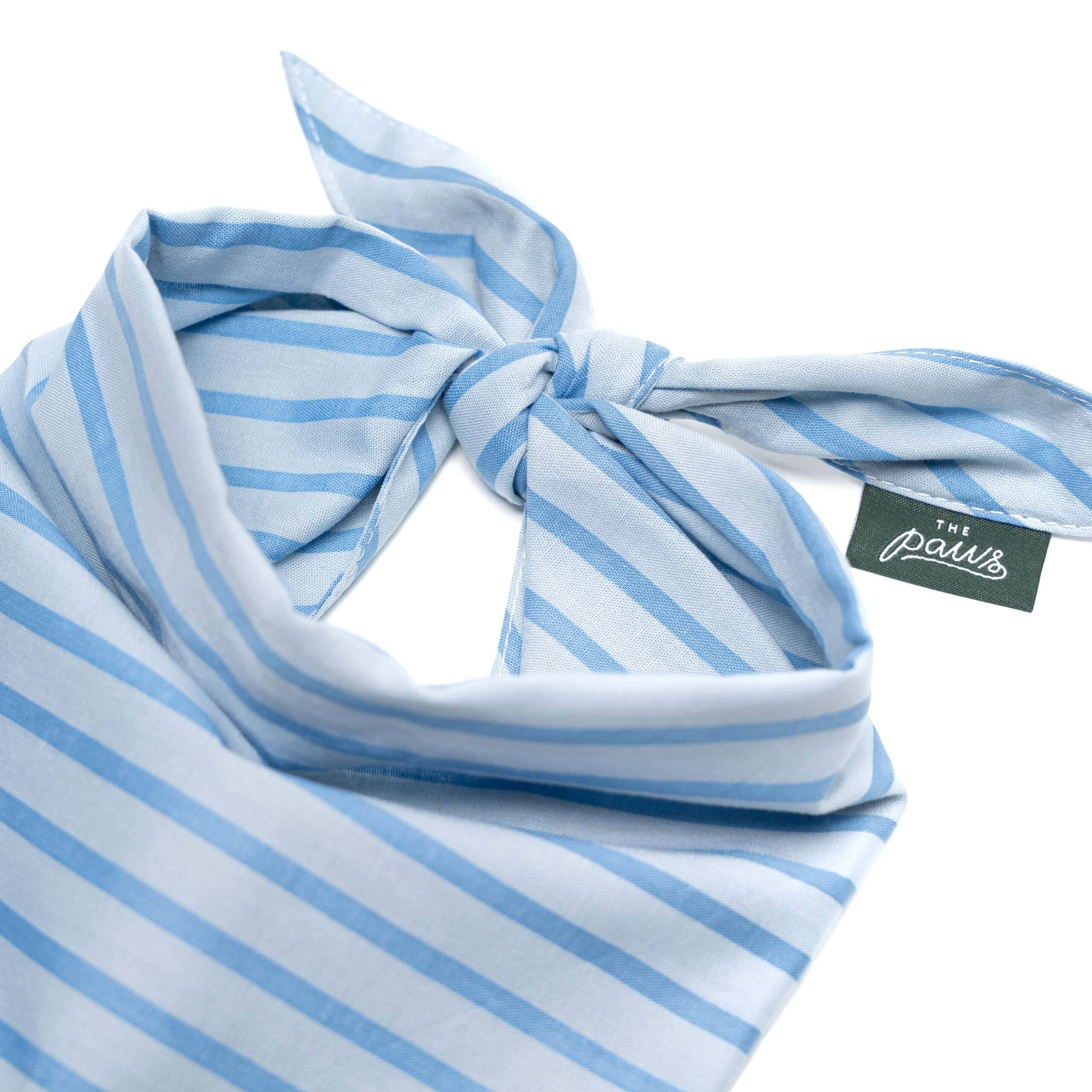 Blue Striped Bandana I