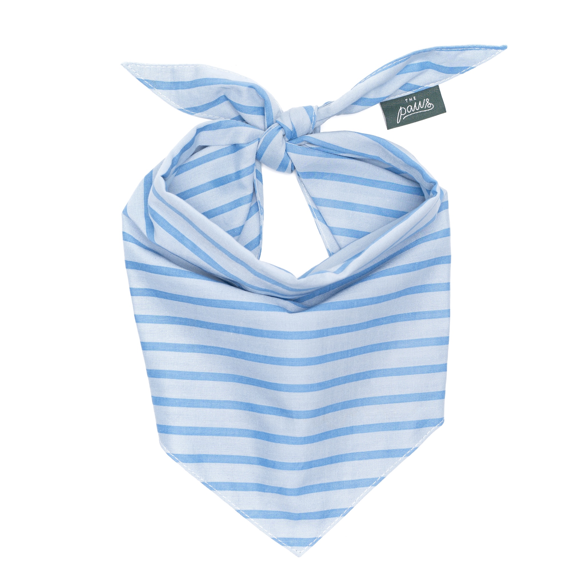 Blue Striped Bandana
