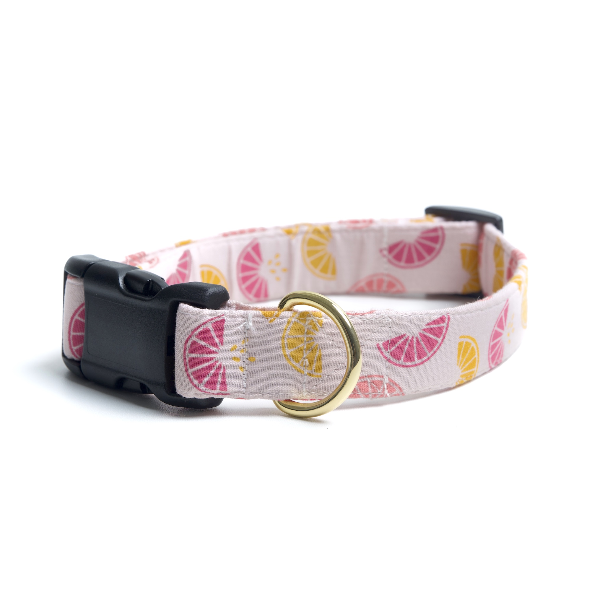 Collar - with gold hardware I
