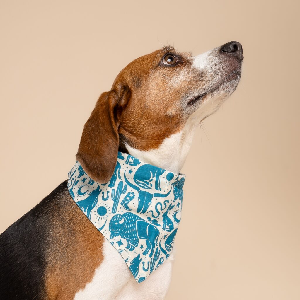 Western Blue Dog Bandana from The Paws Shop Bali